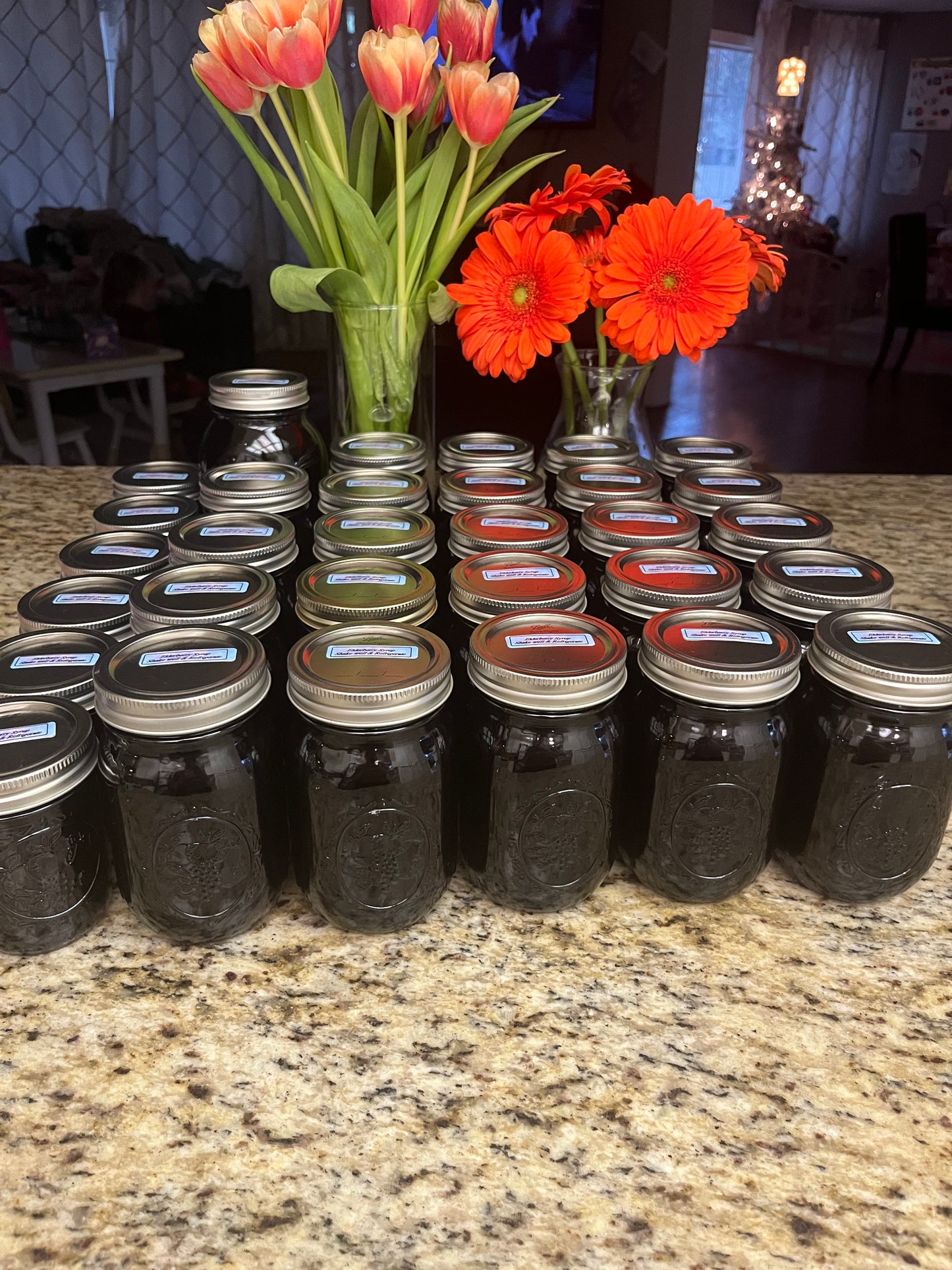 Organic Elderberry Syrup 16 oz Jar